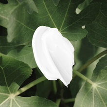 Load image into Gallery viewer, FIG WATER
