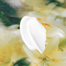 Load image into Gallery viewer, THE SUNROOM
